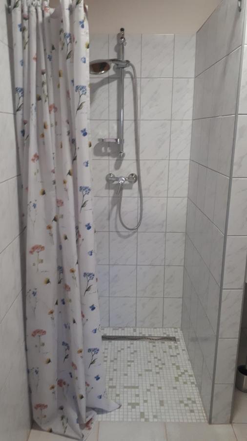 Kis Haz Apartman 잘레크세니 외부 사진